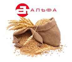 Сайты с новогодними подарками Сайты с новогодними подарками